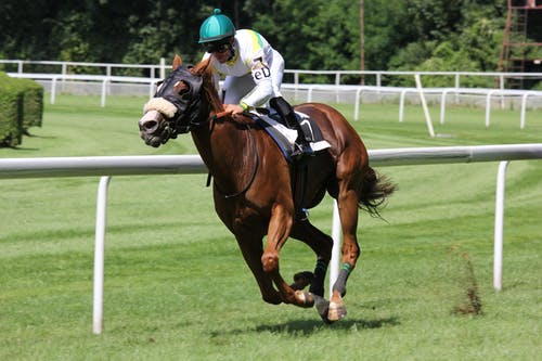 hosses horse and jockey